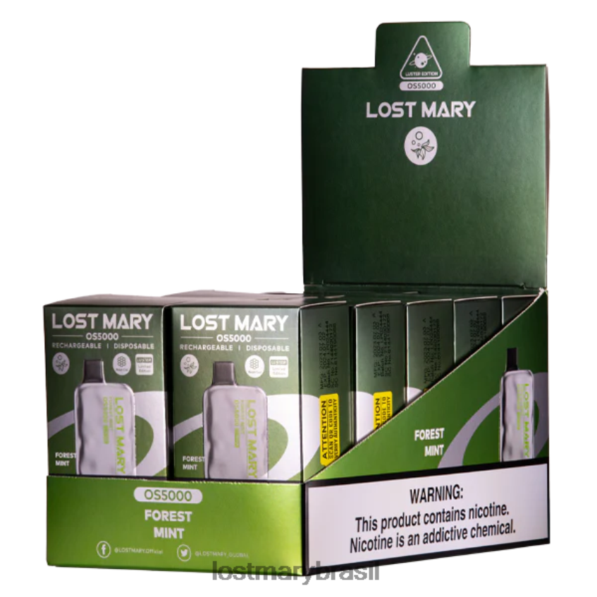 brilho de mary perdida os5000 H22VDL29 hortelã da floresta | LOST MARY Online Store